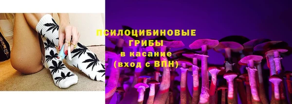 гидра Аркадак