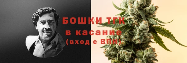 гидра Аркадак