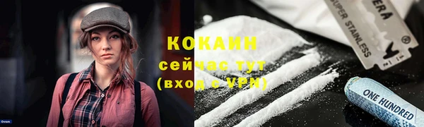 apvp Арсеньев