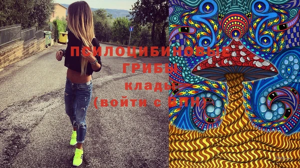 молекула духа Армянск