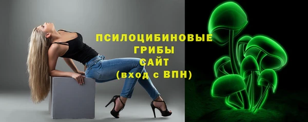 apvp Арсеньев