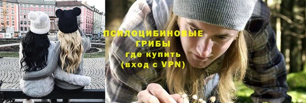 молекула духа Армянск
