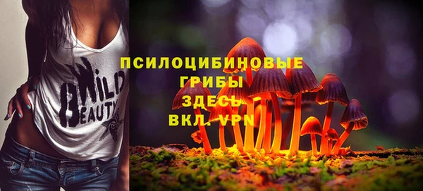 молекула духа Армянск