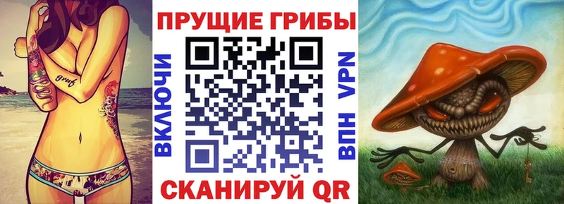 Галлюциногенные грибы Psilocybe  Усть-Кут 